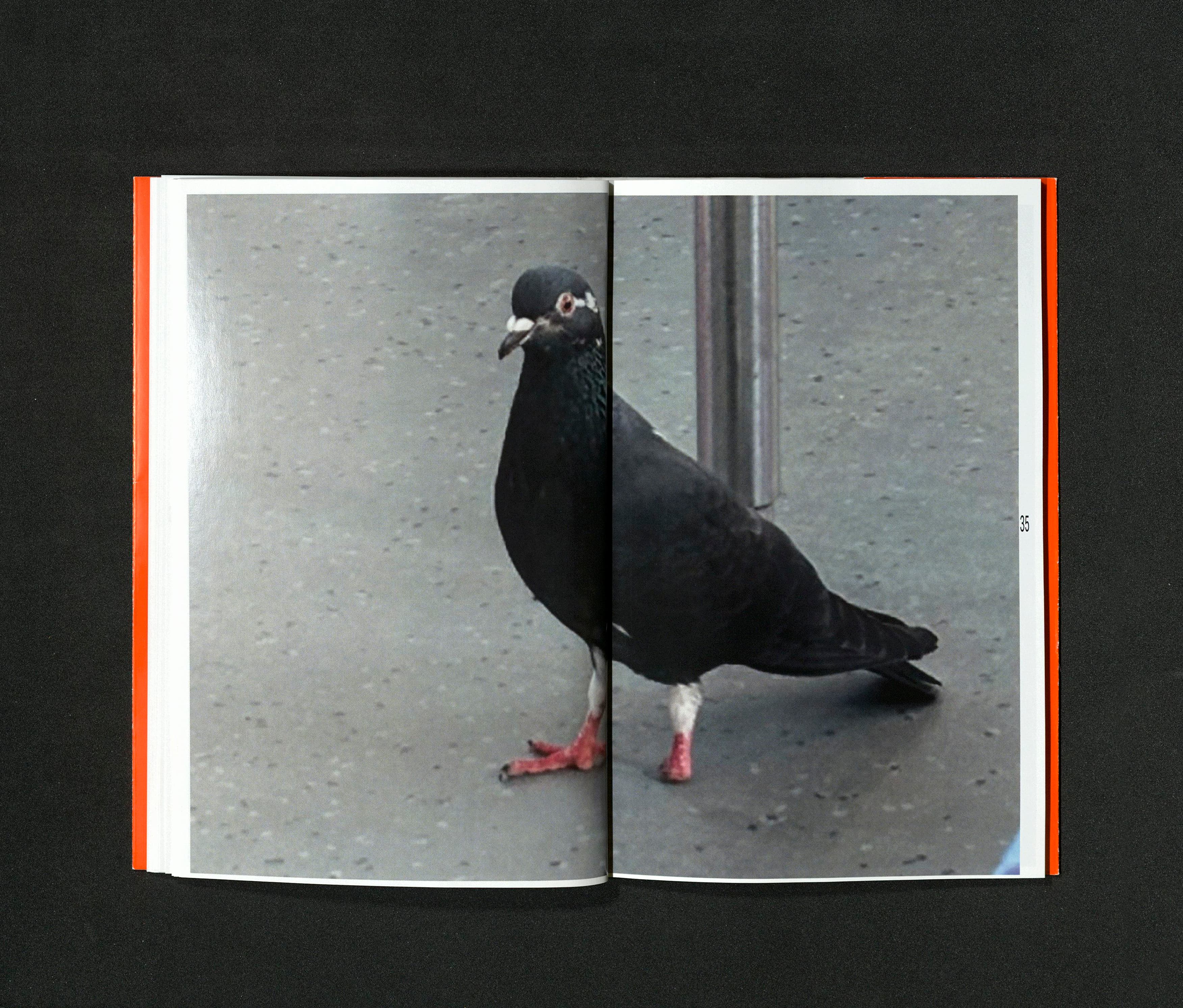 04 PANIK, Bild 4